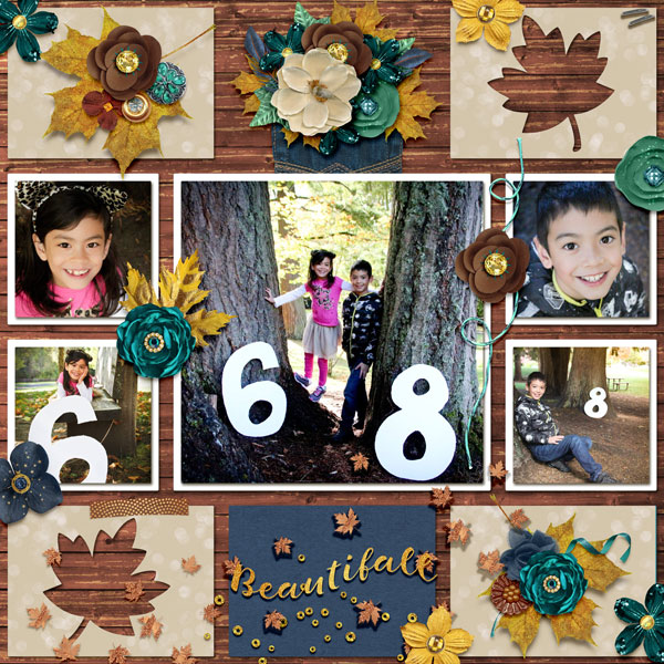 Beautiful Fall