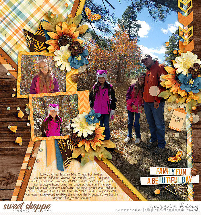 Beautiful Fall