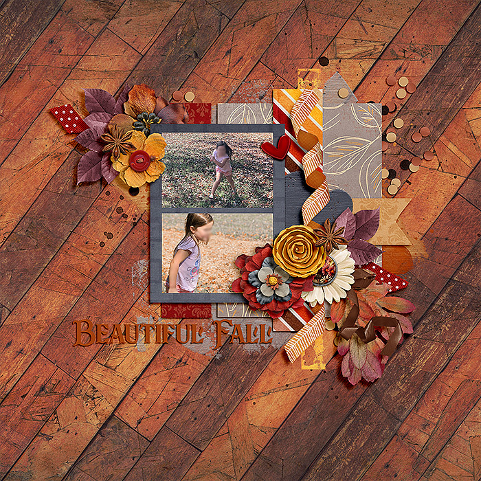 Beautiful Fall