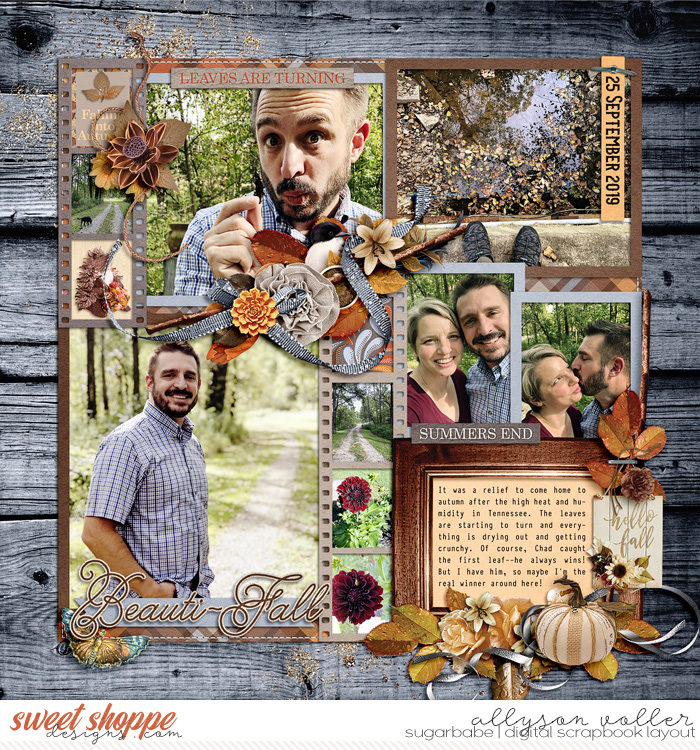 Beautiful Fall