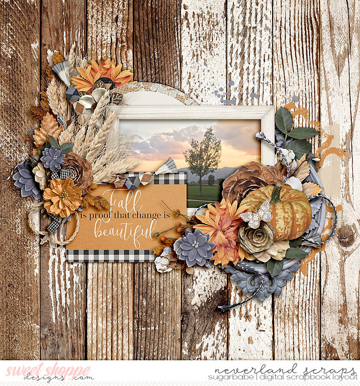 Beautiful Fall