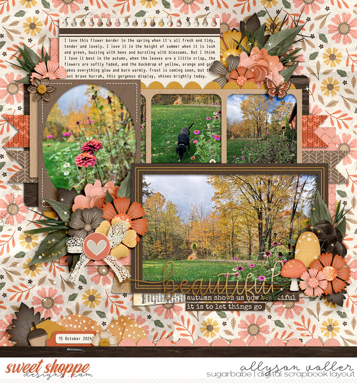 Beautiful Fall