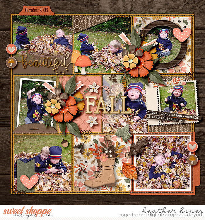 Beautiful Fall