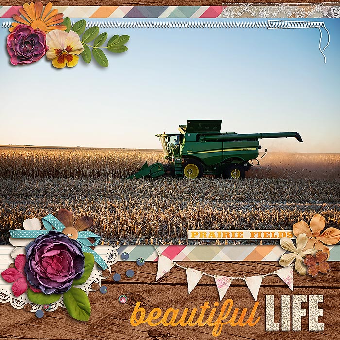 Beautiful Life