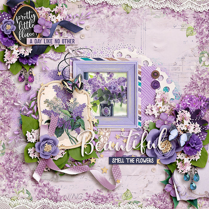Beautiful Lilacs