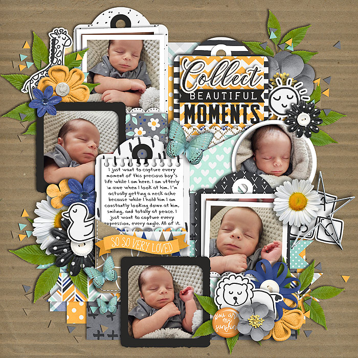 Beautiful Moments
