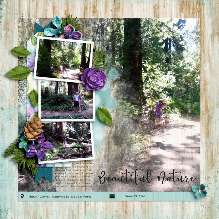Beautiful Nature