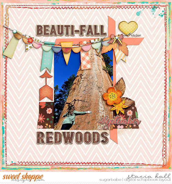 Beautiful Redwoods