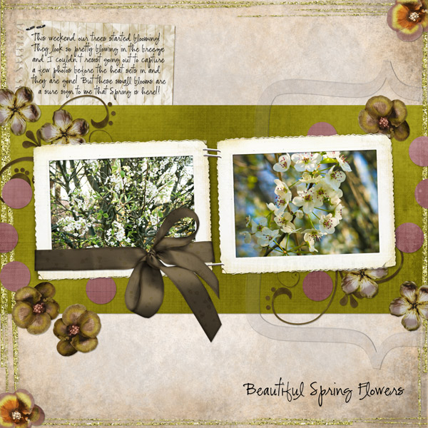 Beautiful Spring Flowers