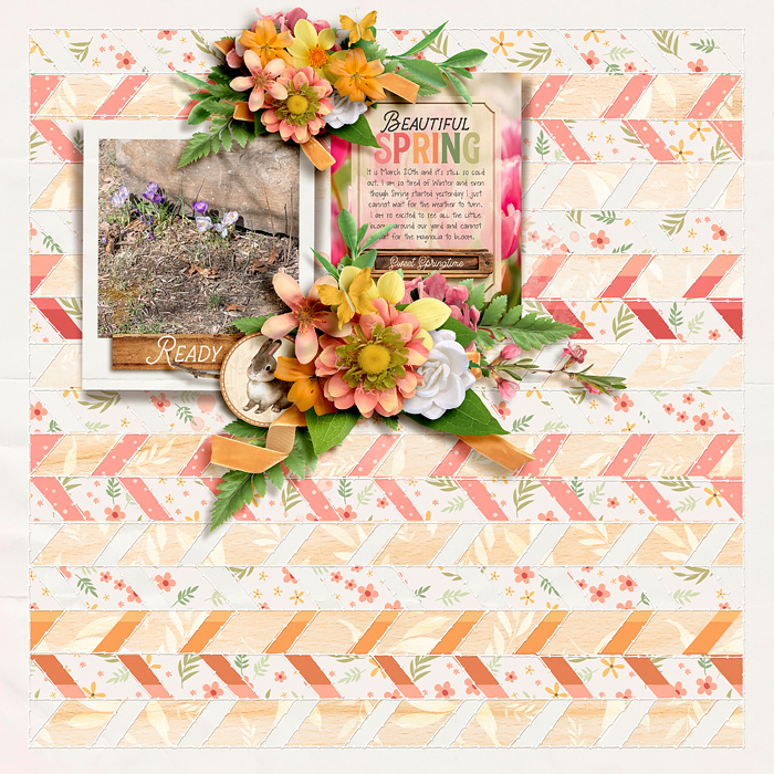 Beautiful Spring