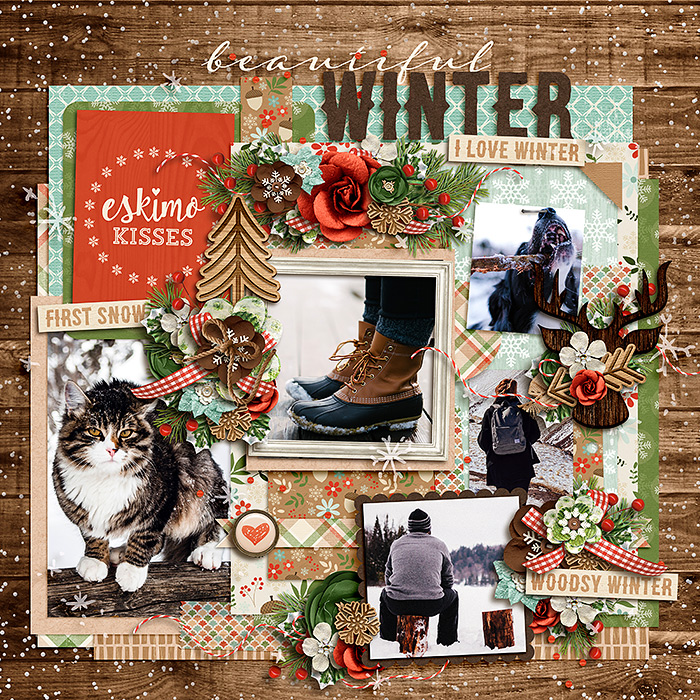 beautiful winter