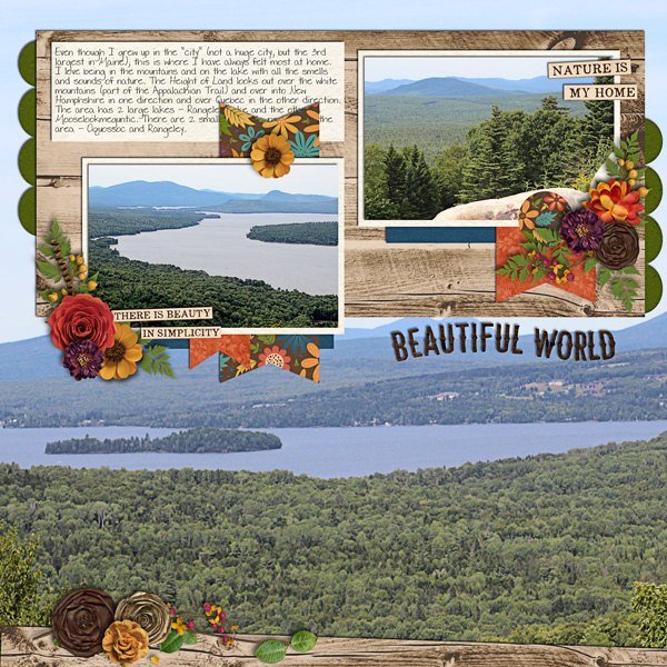 Beautiful World