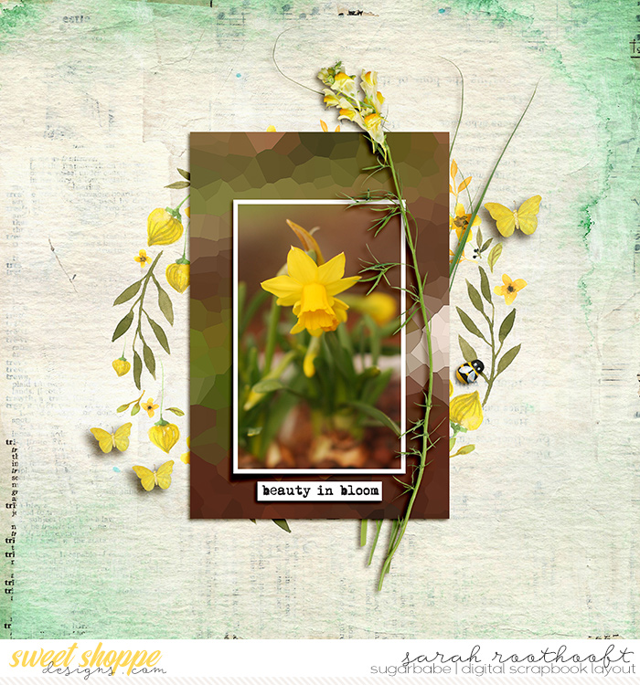 Beauty in bloom