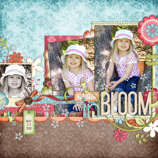 Beauty in Bloom
