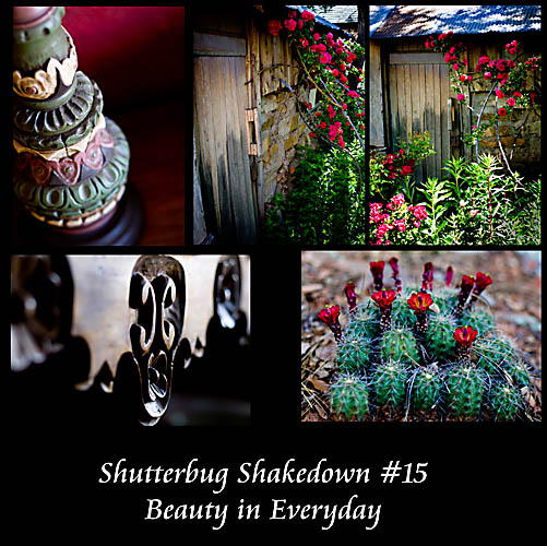 Beauty in Everyday