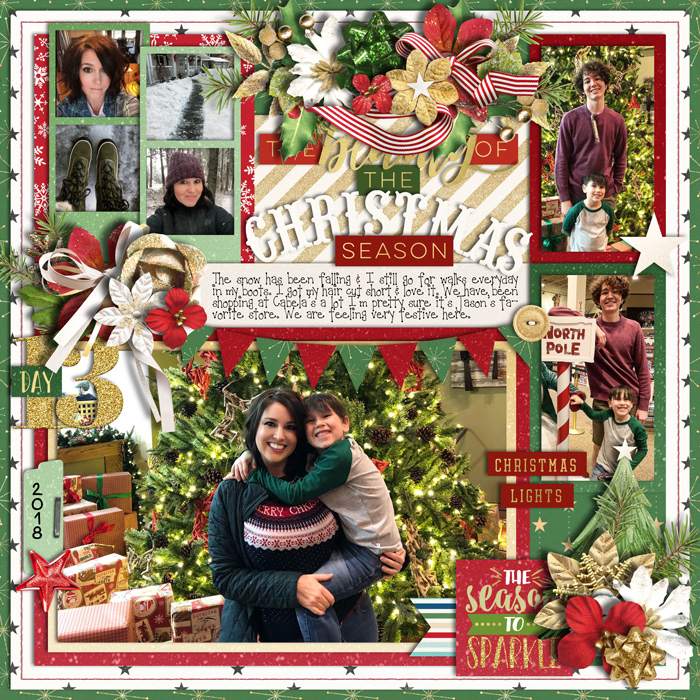 Beauty of the Christmas Season Day 13