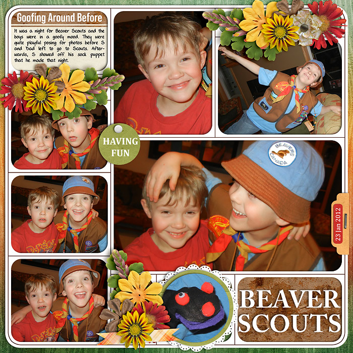 Beaver Scouts