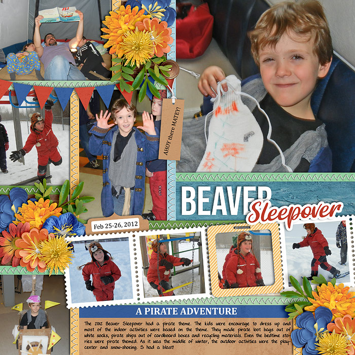 Beaver Sleepover