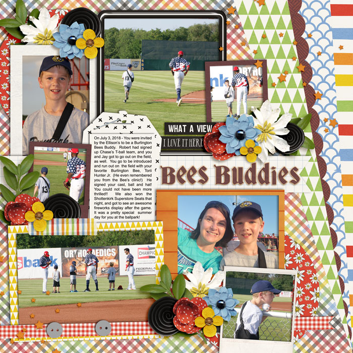 Bees Baseball Buddies
