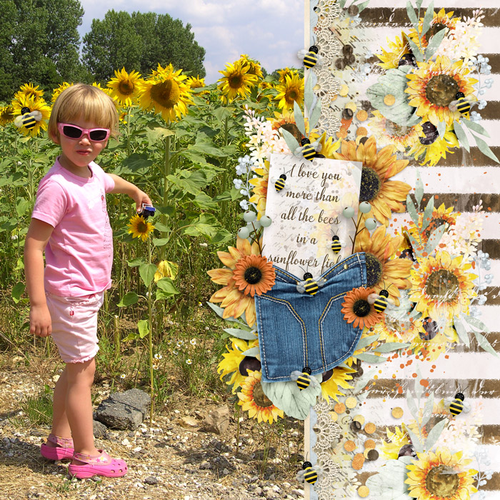 Bees In A Sunflower Field