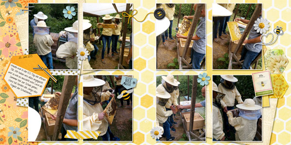 Bees
