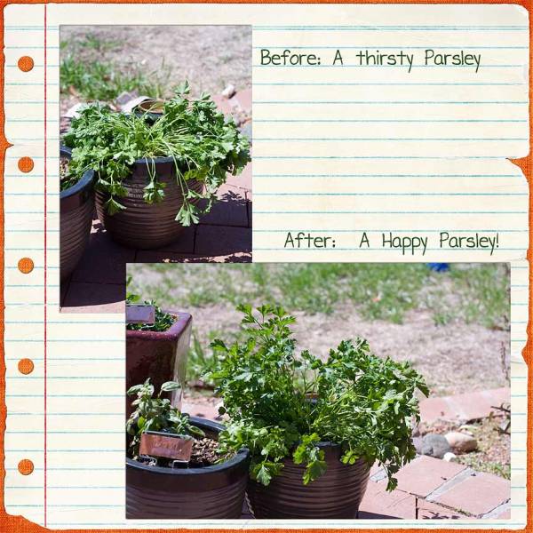 Before & After