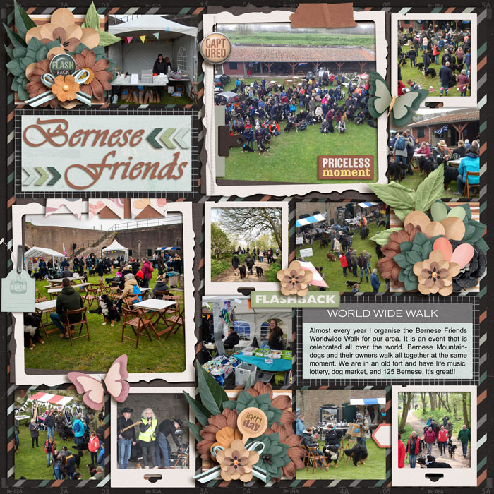 Bernese Friends WorldWide Walk