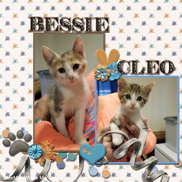Bessie & Cleo