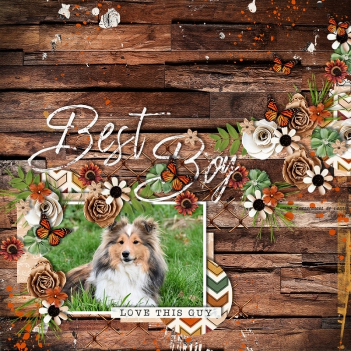 Best_Boy