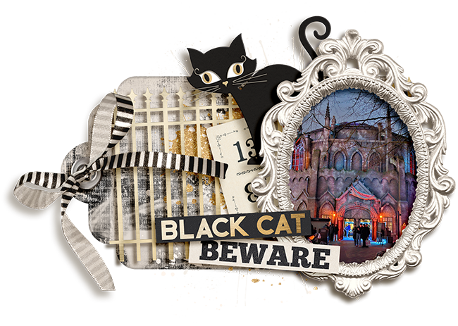 Beware: Black Cat