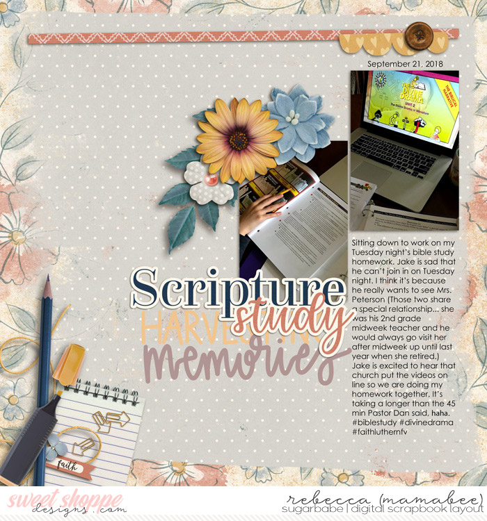 Bible Study