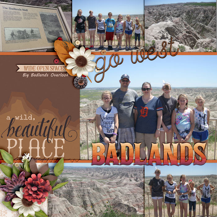 Big Badlands Overlook