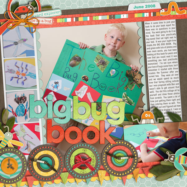 big bug book