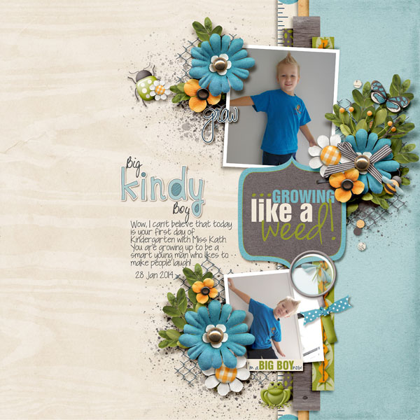 Big Kindy Boy