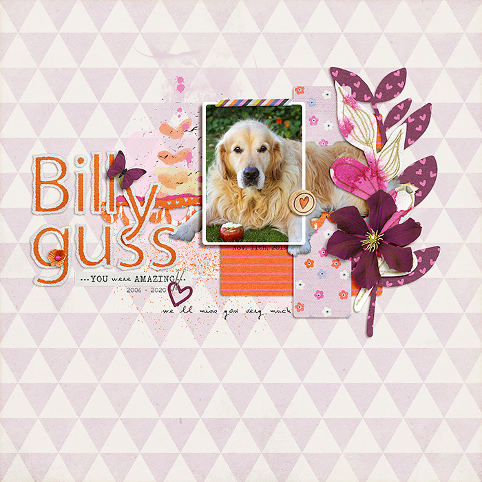 Billyguss