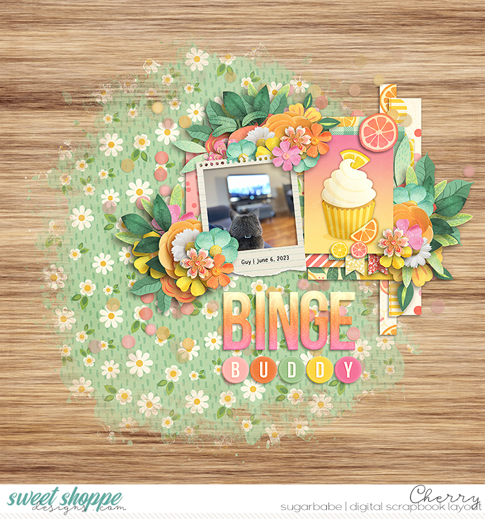Binge Buddy