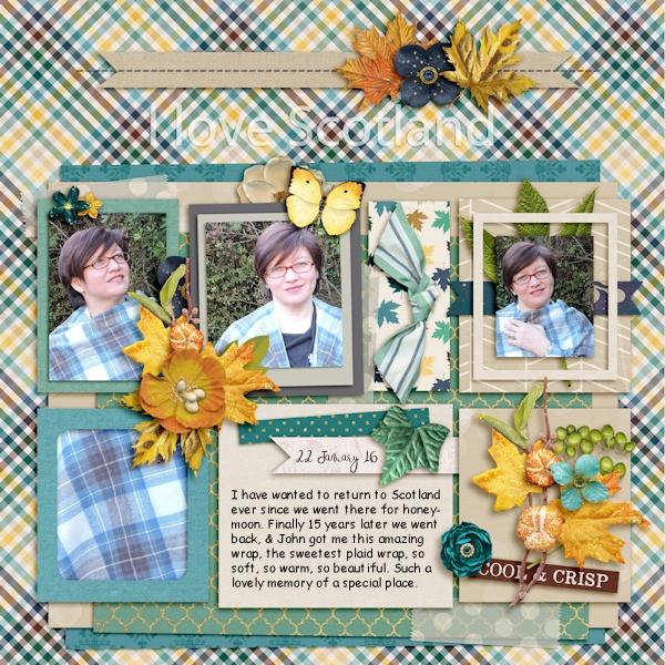 Bingo 8 - trend plaid