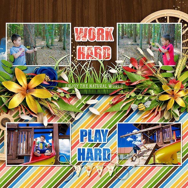 Bingo August 2015 - Play hard