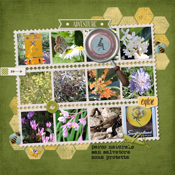 Bingo - bumblebee kit used