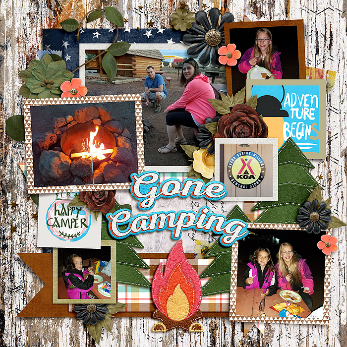 Bingo Challenge #9: Around the Campfire
