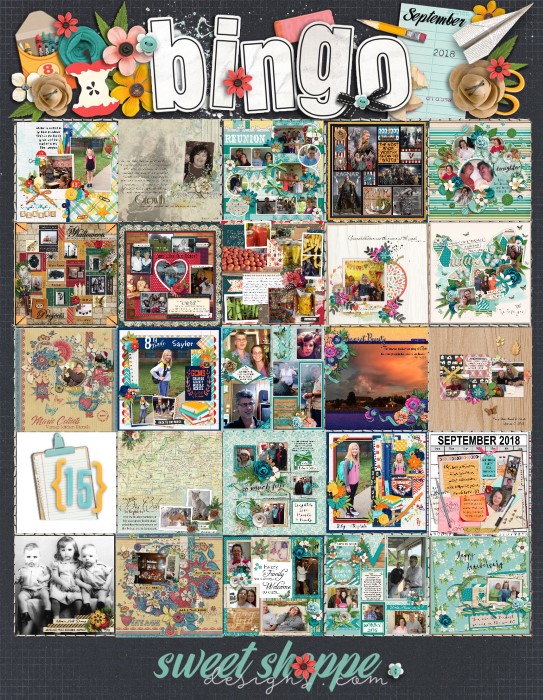 Bingo-Cover All