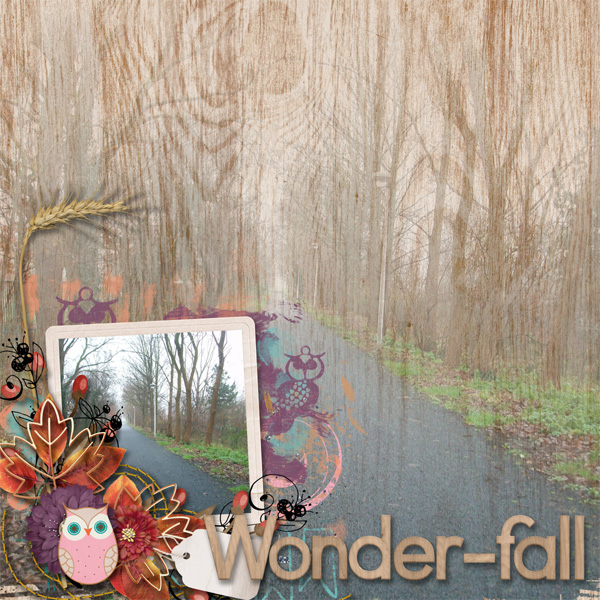 Bingo Feb Nr2 - 'Blend a photo into your background: Fall'