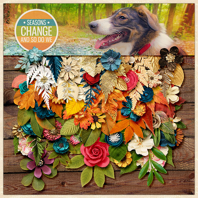 Bingo Oct 2015 - Leaves
