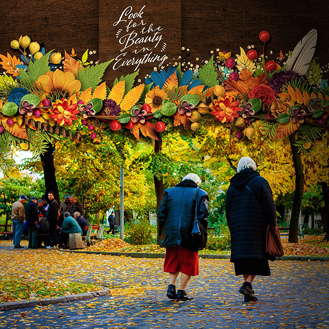 Bingo Sept 2015 - Fall