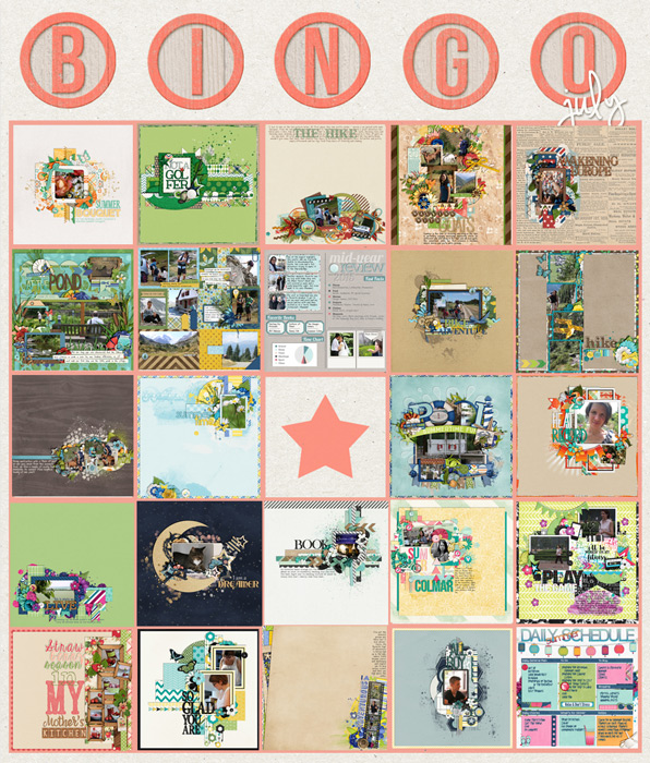 Bingo Tracker July 2015