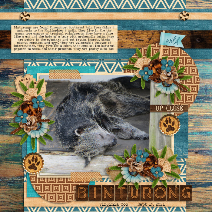 Binturong