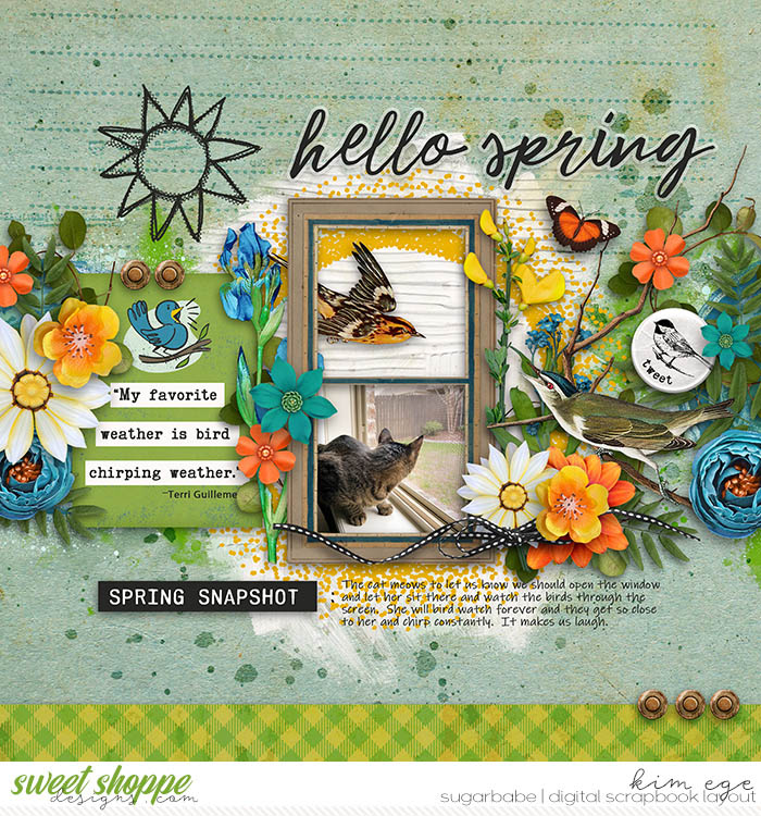 Bird Chirping Weather
