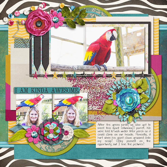 Bird Friends
