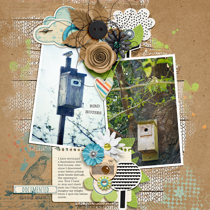 Bird Houses