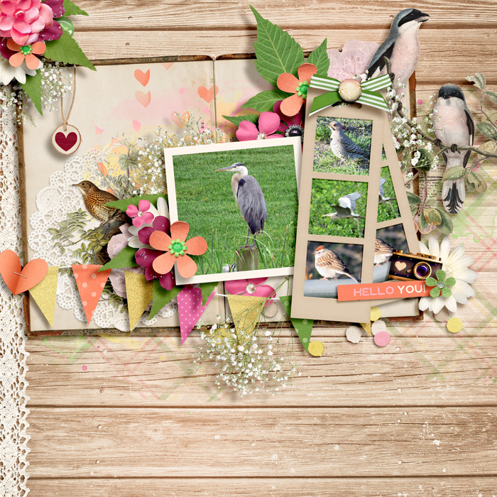 Bird is the Word